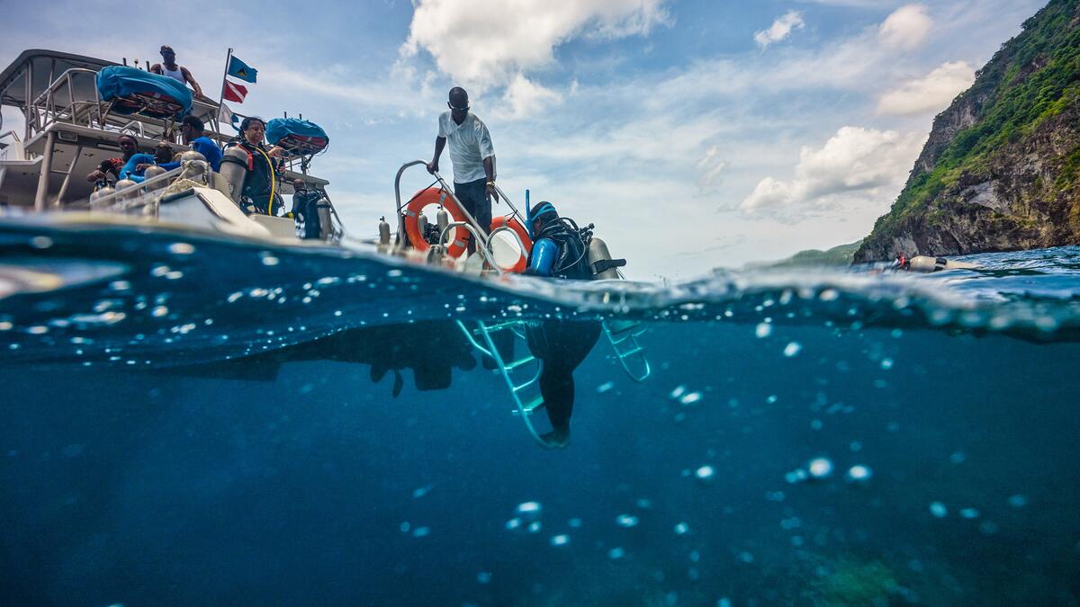 Image above and below water.