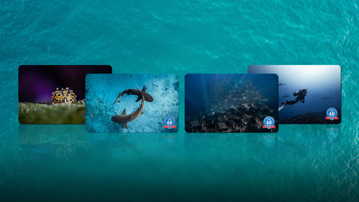 PADI certification cards with marine life images