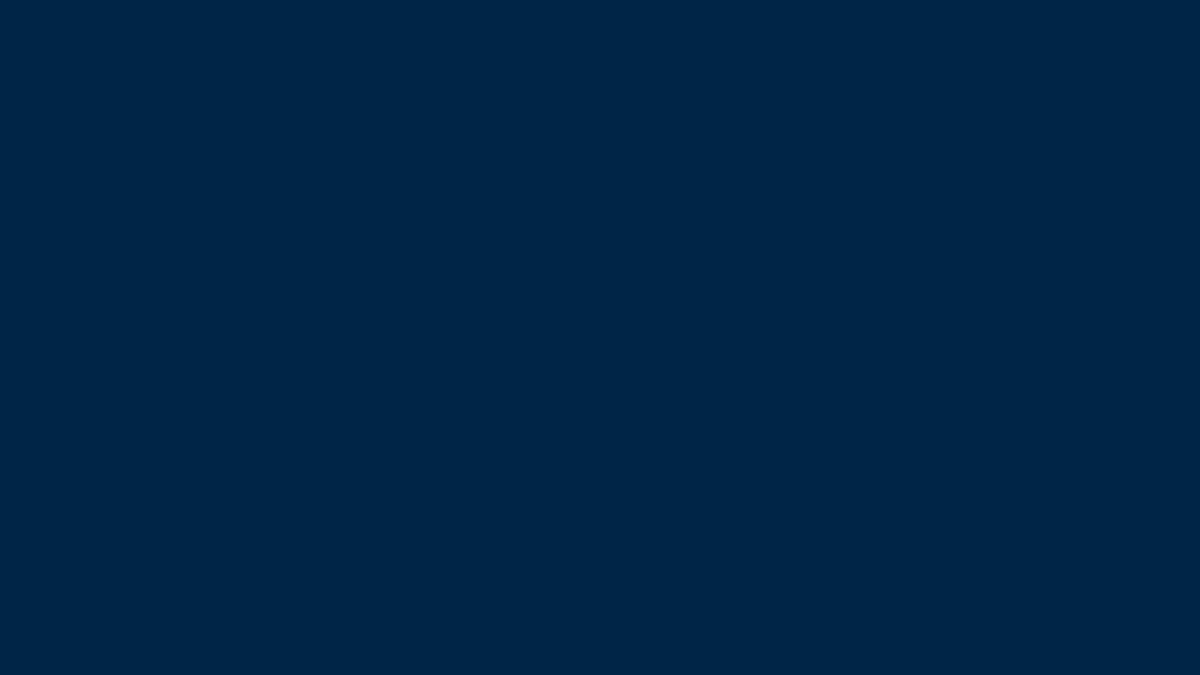 NAVY BANNER