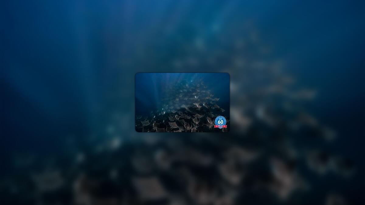 physical certification card on a background of manta rays