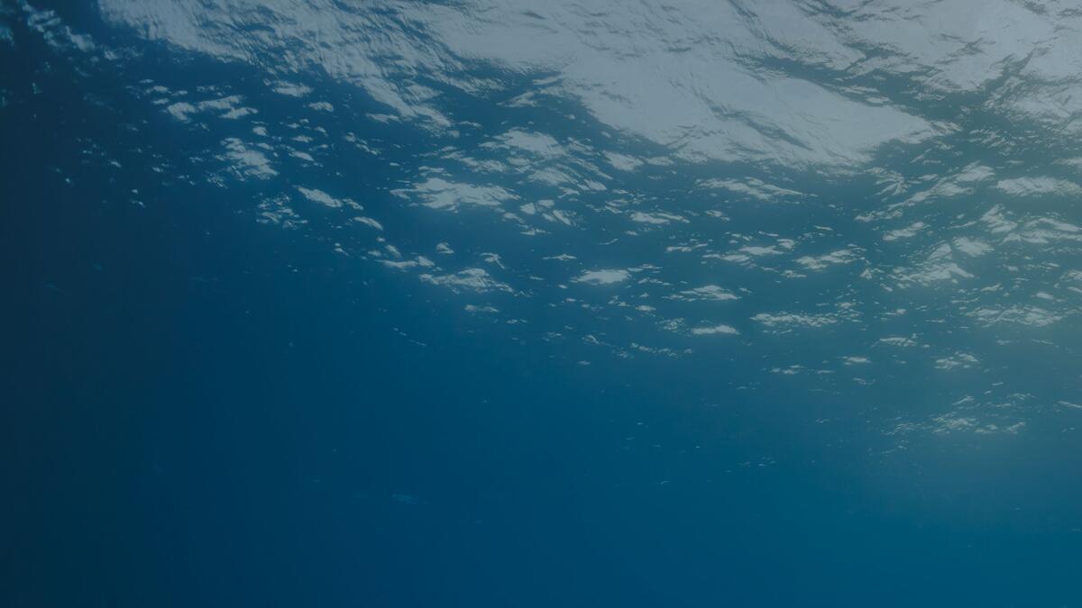 Sunlight on the ocean surface seen from underwater