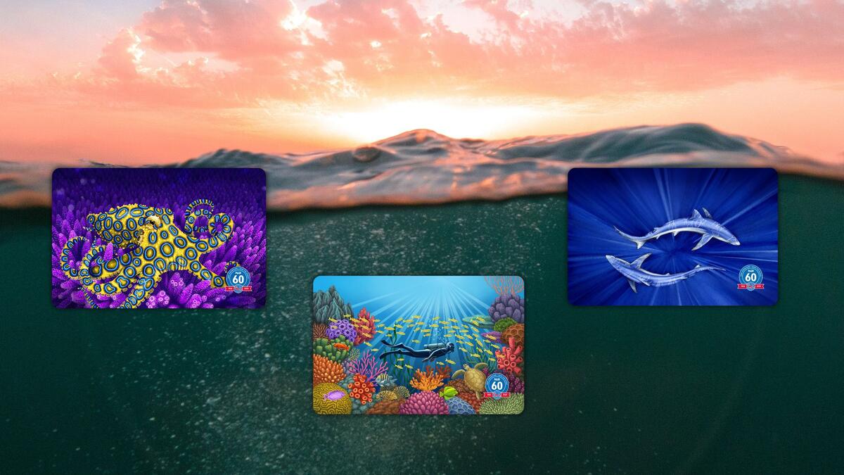 physical certification cards next to an underwater background