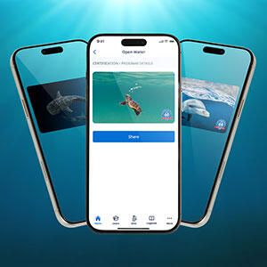 De Ocean Wonders certificaatkaartencollectie is er!