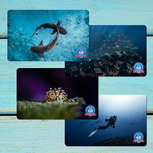 Get Your Wild Encounters Certification Card Today!