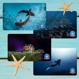 Get Your Wild Encounters Certification Card Today!