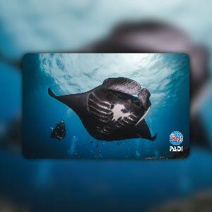 Back by popular demand for World Manta Day!