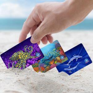 รับบัตรรับรอง Hidden in the Blue ของคุณวันนี้!