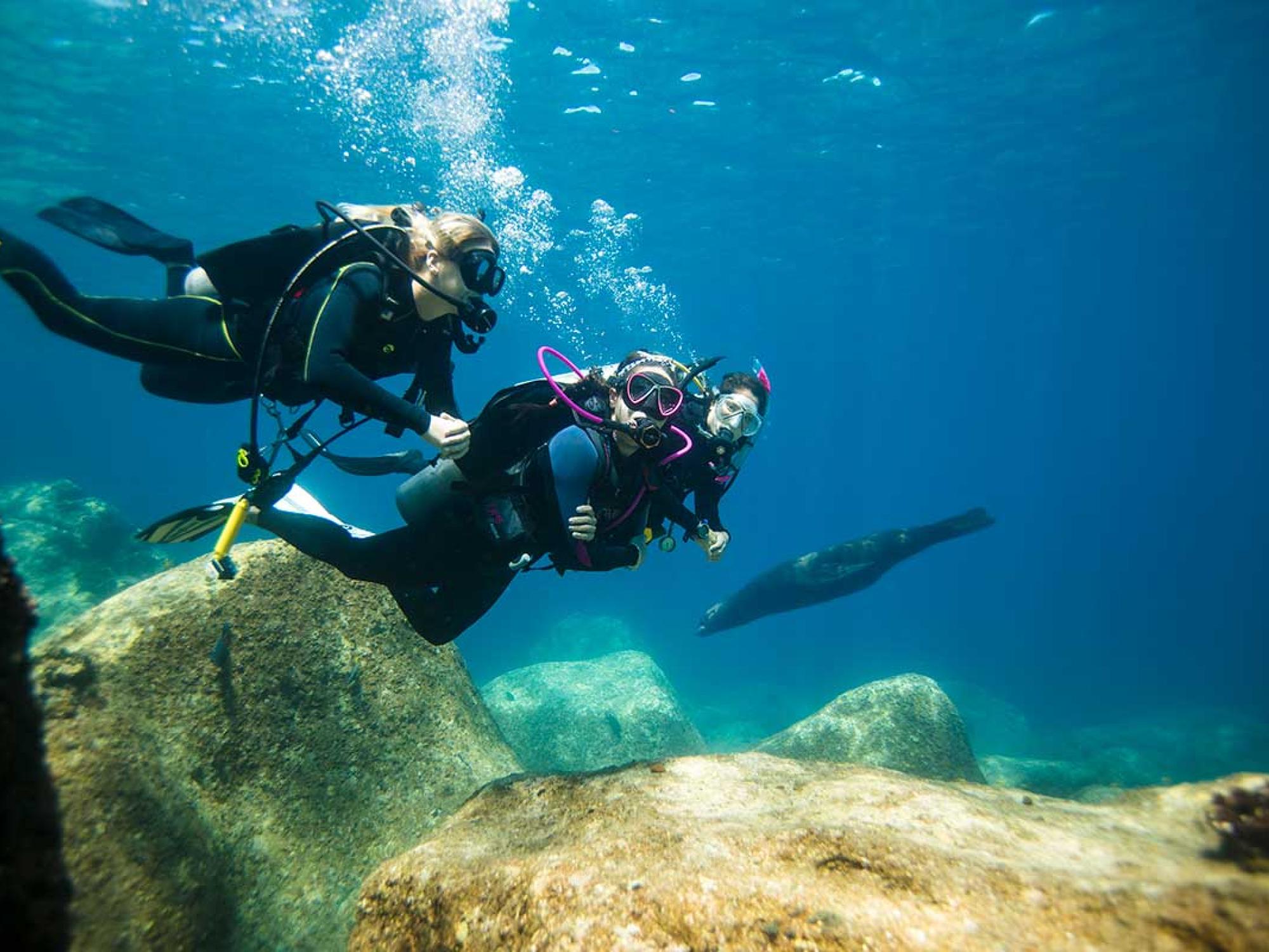 PADI Exploration - Feed your curiosity